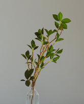 Alamkari India Fabric Artificial Green Sticks for Vases (3 Sticks, 75 cm)
